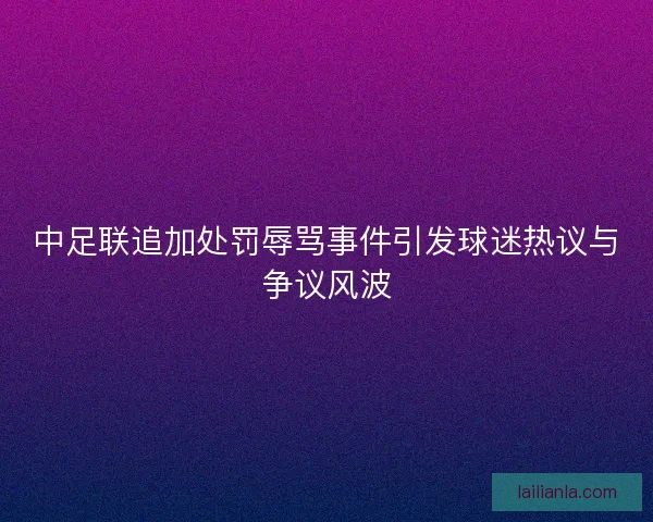 中足联追加处罚辱骂事件引发球迷热议与争议风波